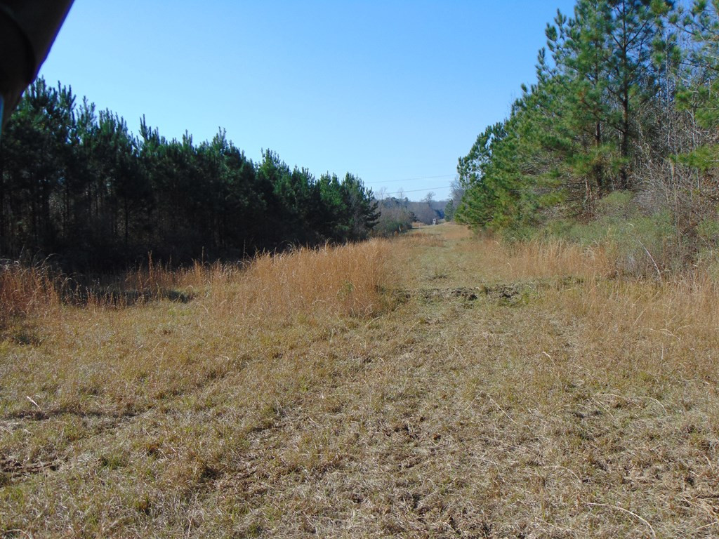 162 Christian Hts Road Braxton, MS 39044 - Photo 6 of 74 Photo 6