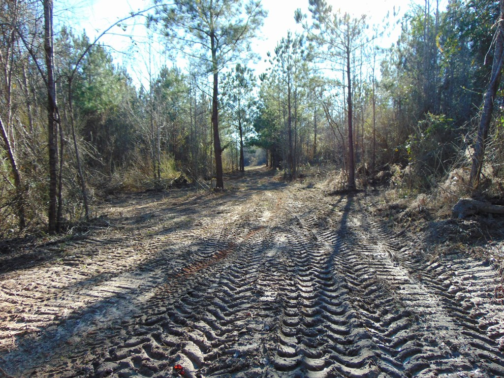162 Christian Hts Road Braxton, MS 39044 - Photo 67 of 74 Photo 67