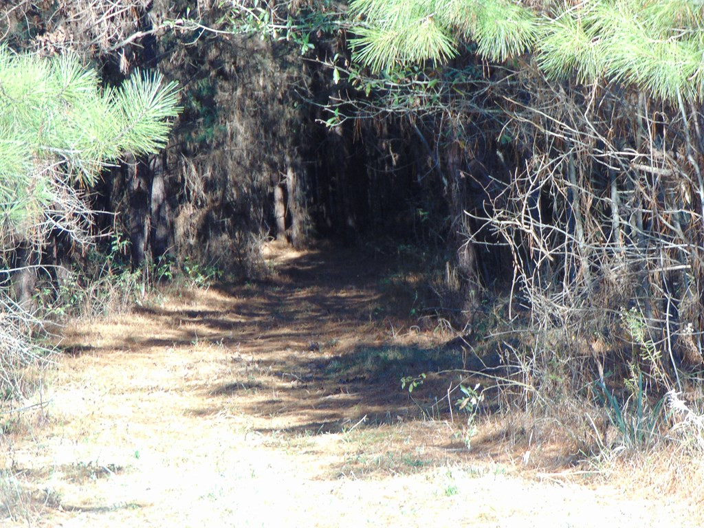 162 Christian Hts Road Braxton, MS 39044 - Photo 69 of 74 Photo 69