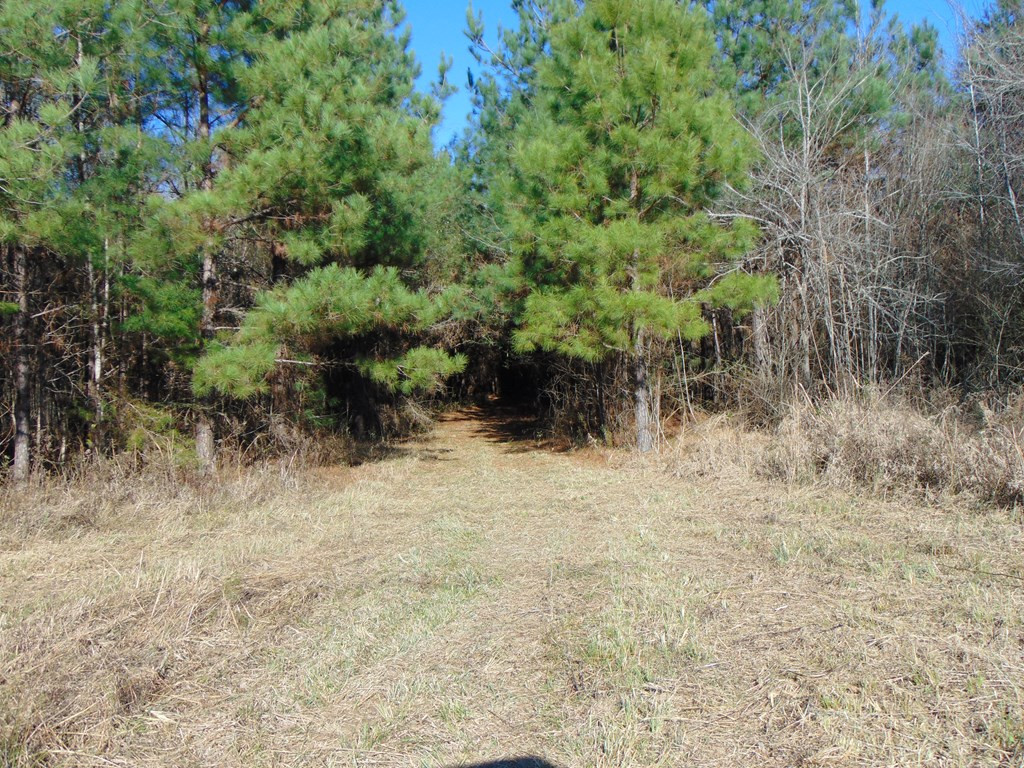 162 Christian Hts Road Braxton, MS 39044 - Photo 70 of 74 Photo 70