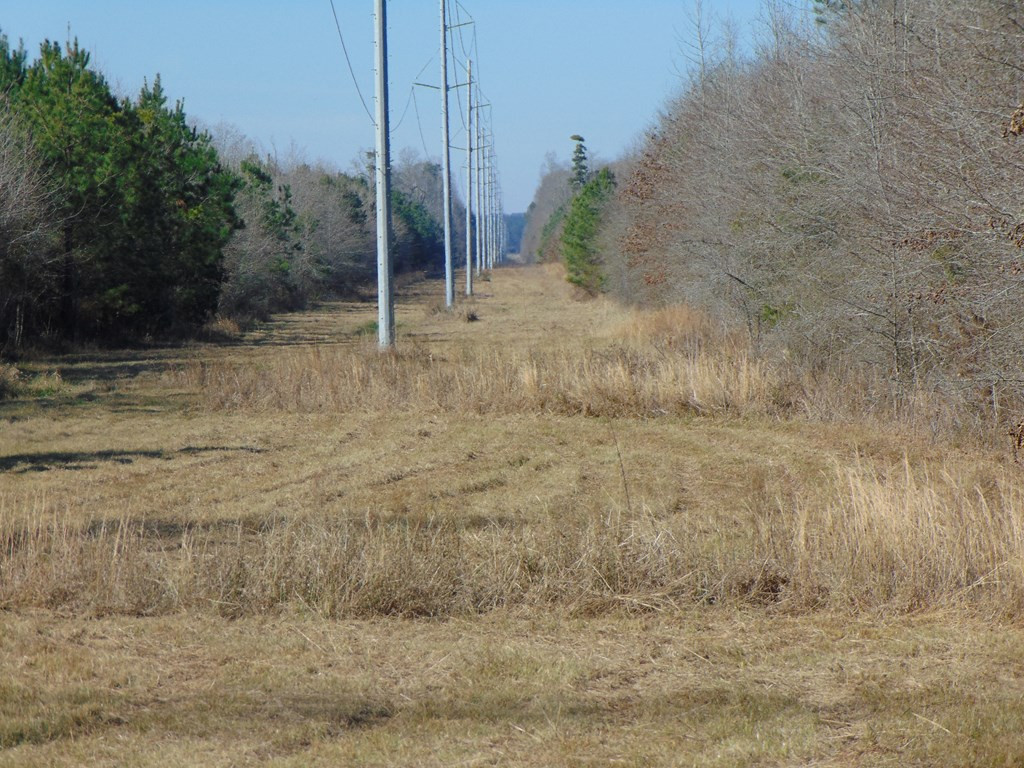 162 Christian Hts Road Braxton, MS 39044 - Photo 7 of 74 Photo 7