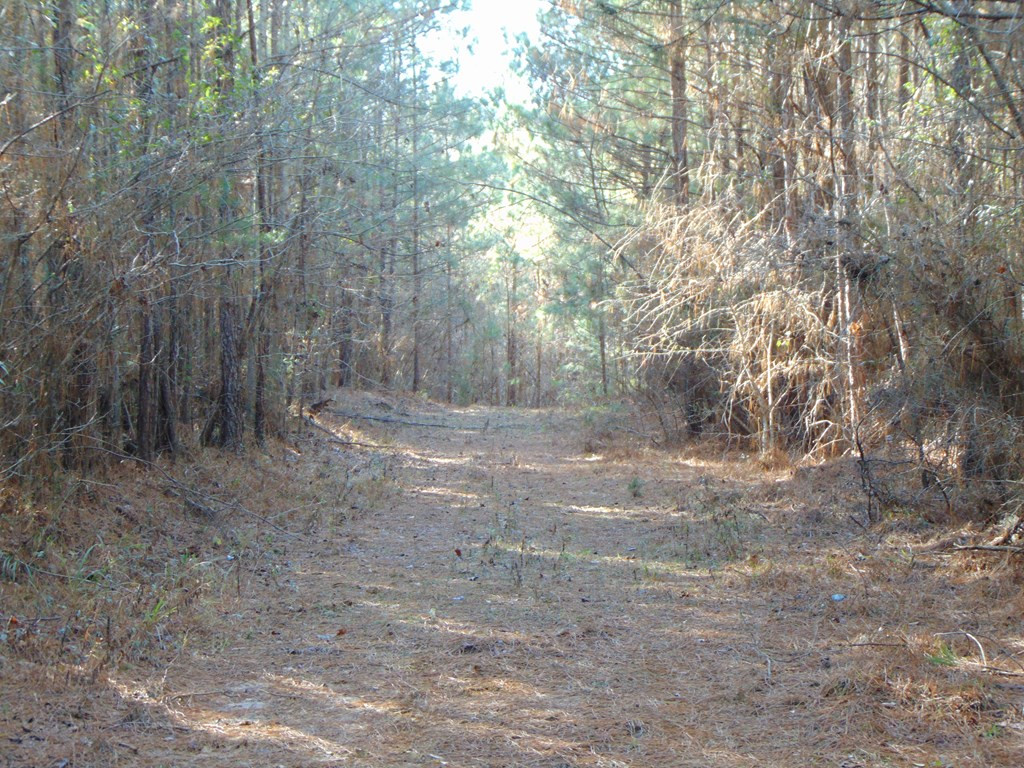 162 Christian Hts Road Braxton, MS 39044 - Photo 71 of 74 Photo 71
