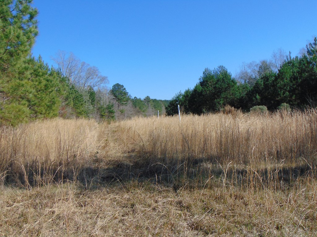 162 Christian Hts Road Braxton, MS 39044 - Photo 8 of 74 Photo 8