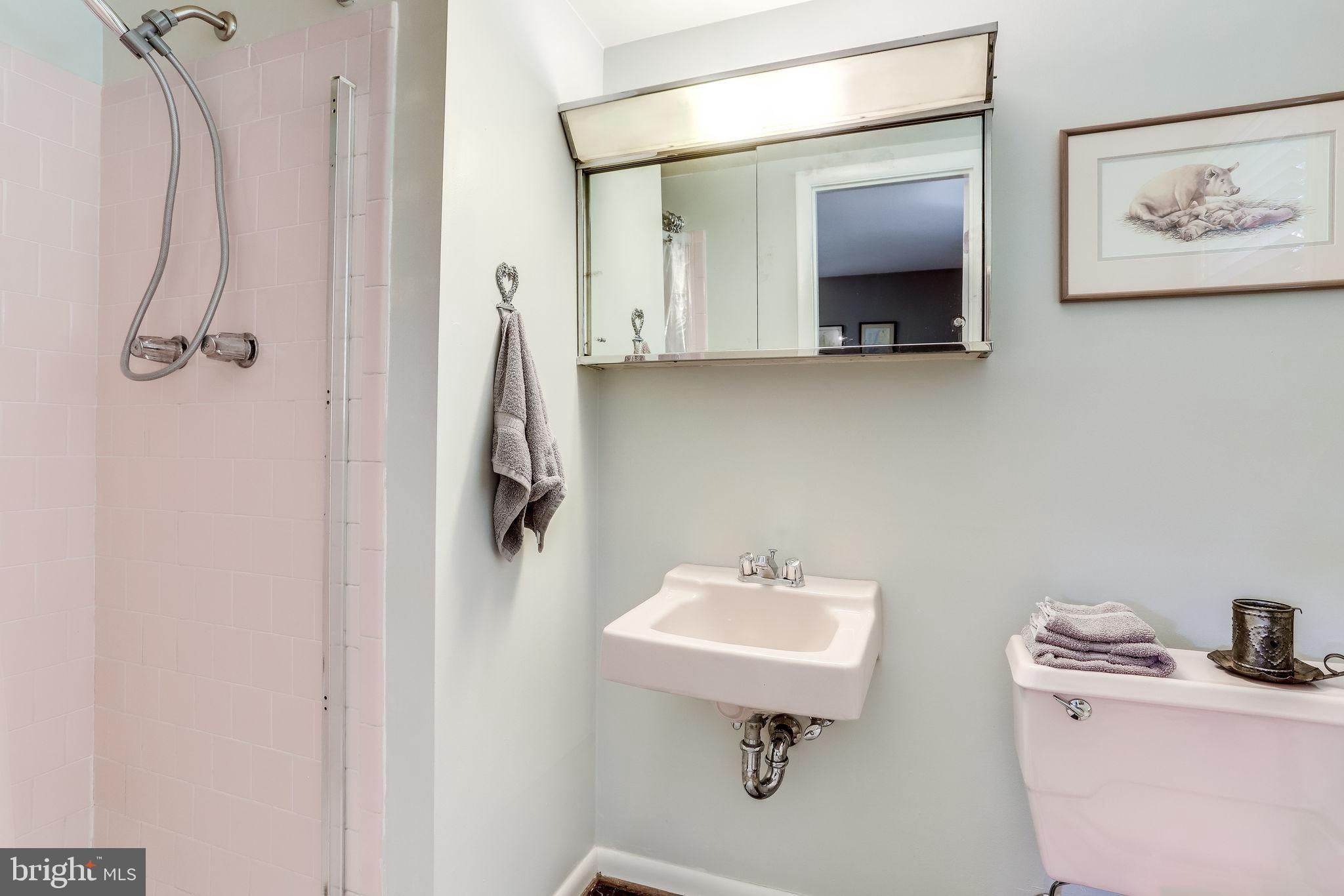 5538 Beverleys Mill Road Broad Run, VA 20137 - Photo 47 of 69 Basement Full Bathroom