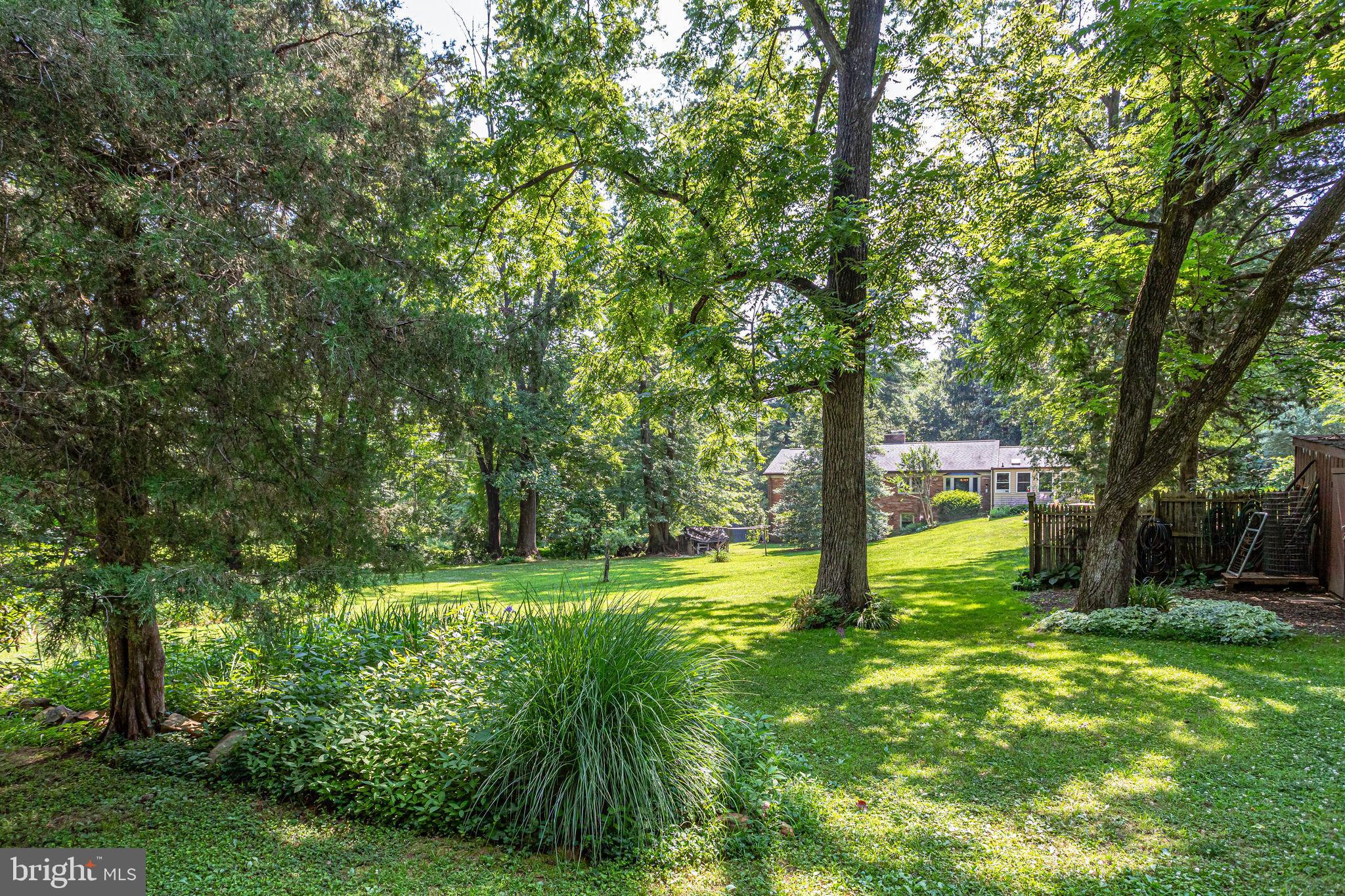 5538 Beverleys Mill Road Broad Run, VA 20137 - Photo 58 of 69 Mature Trees Shade the Property