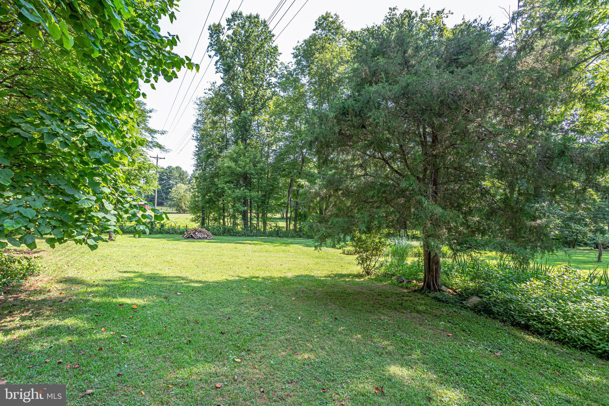 5538 Beverleys Mill Road Broad Run, VA 20137 - Photo 59 of 69 Backyard