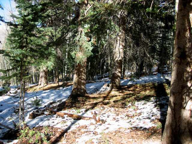 289 Fox Farm Road Telluride, CO 81435 - Photo 6 of 6 Additional Photo