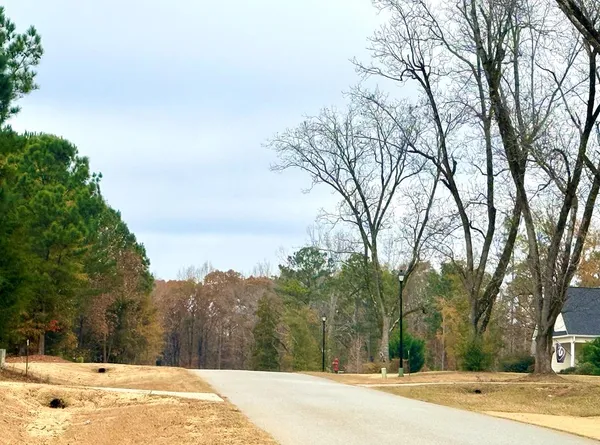a view of a snow on the side of a road