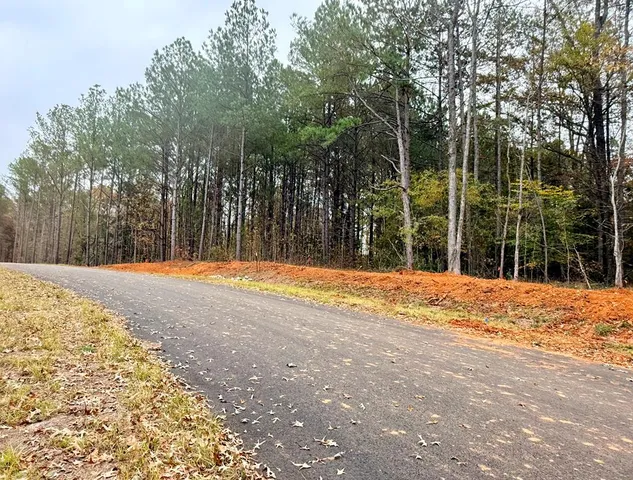 a view of swimming pool with palm trees