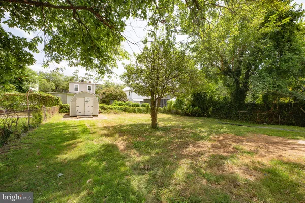 a view of a yard with a tree