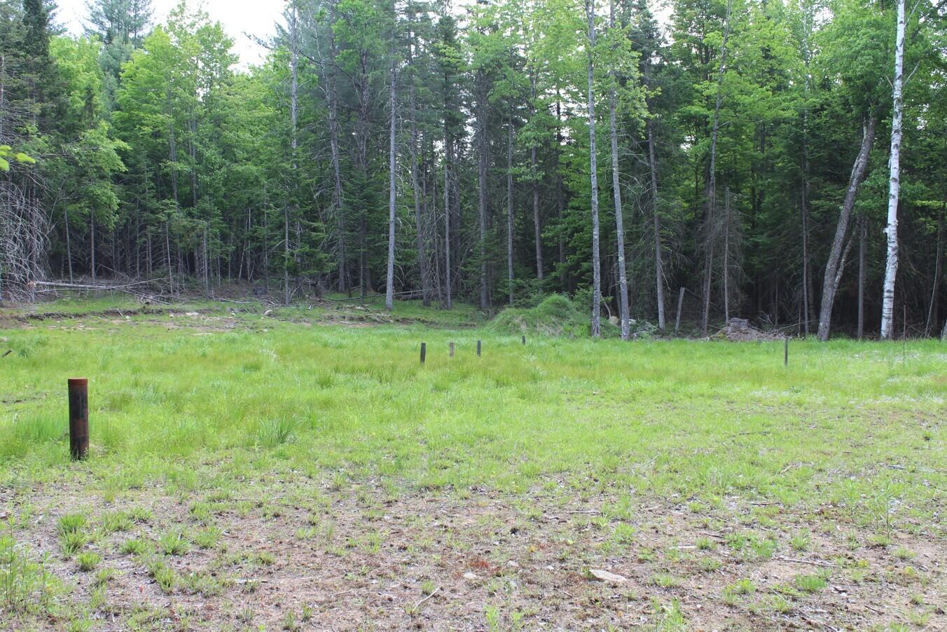 132 Fred Gay Road Indian Lake, NY 12842 - Photo 3 of 7 04