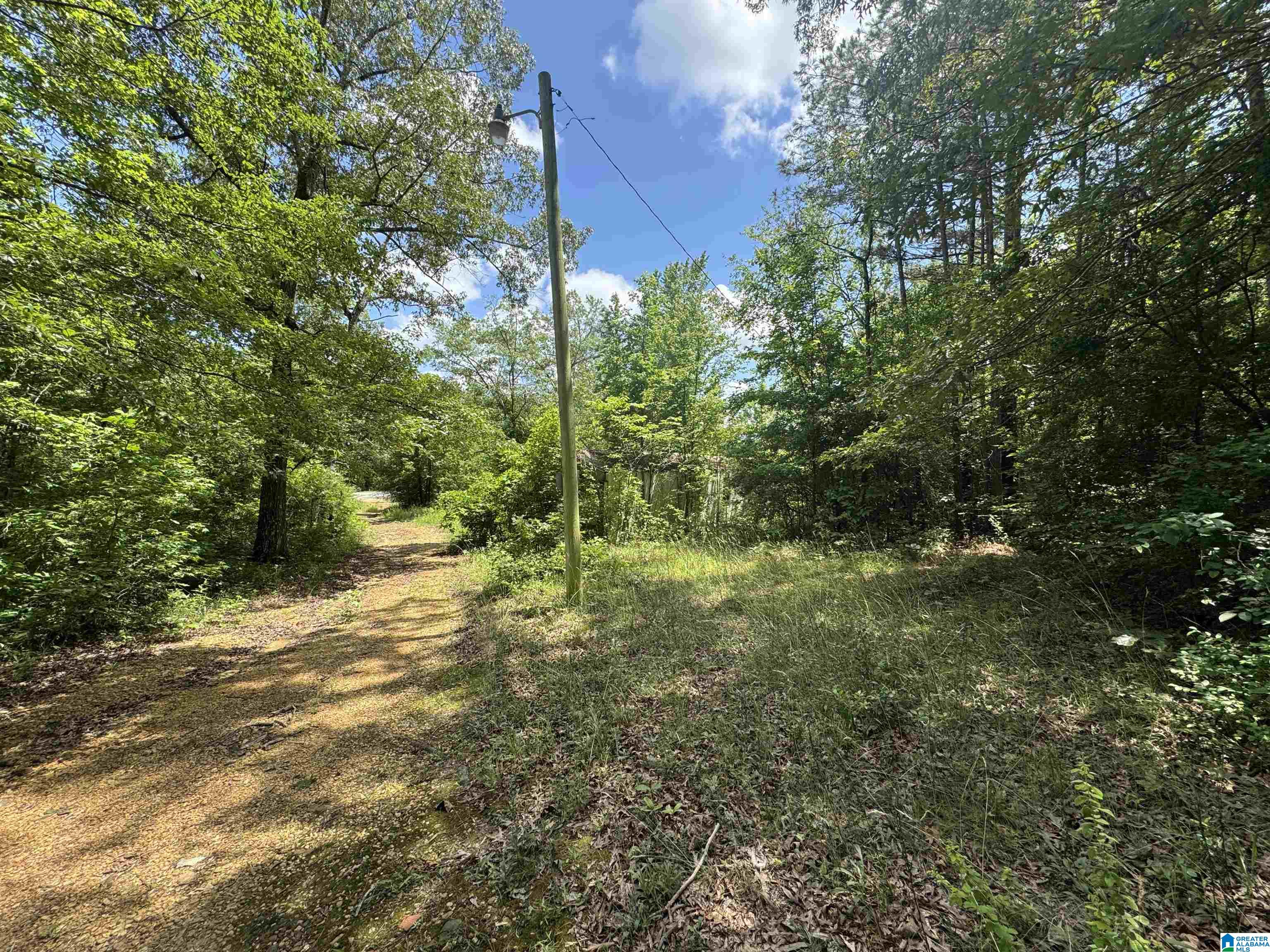 16473 Highway 19 Hamilton, AL 35570 - Photo 4 of 5