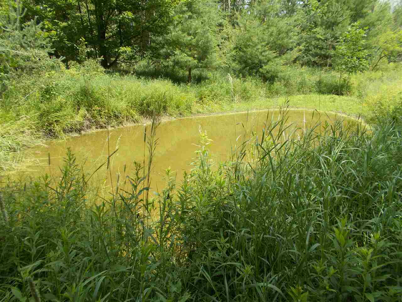 1581 Towerline Road Hale, MI 48739 - Photo 32 of 55 1889668-31.JPG