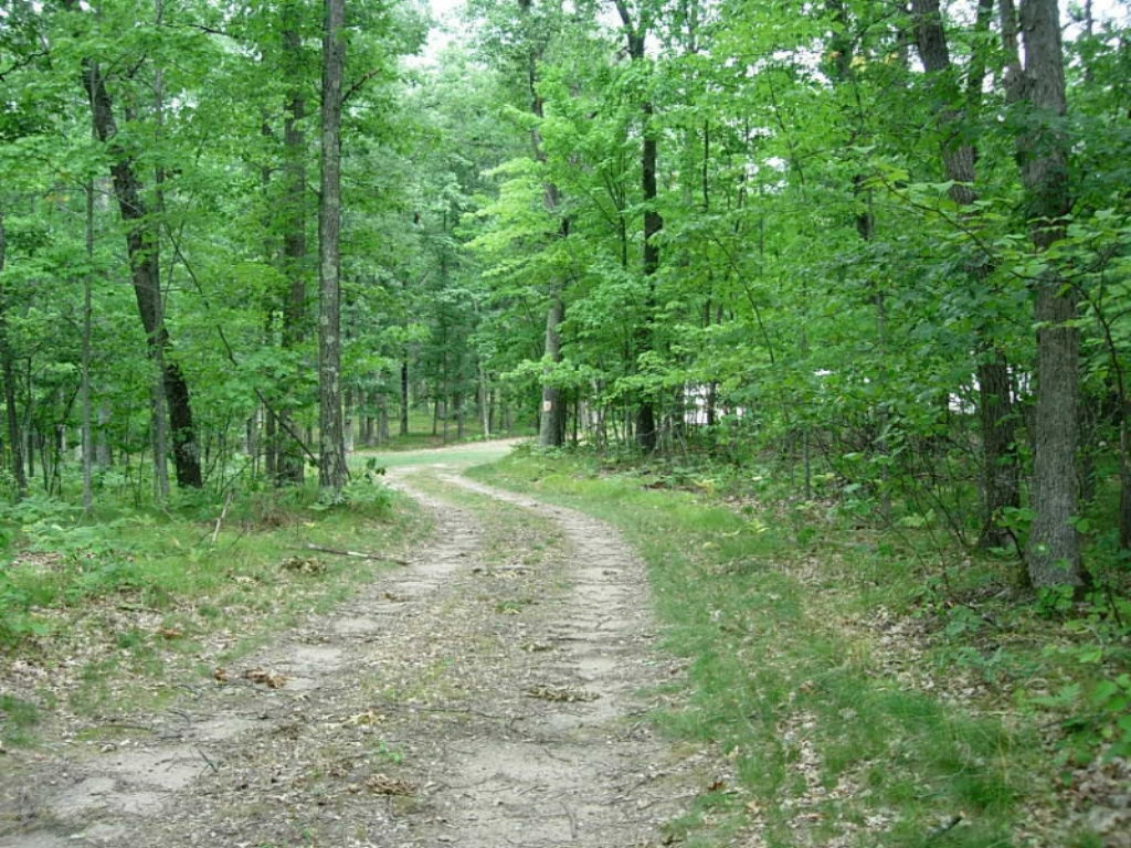 6770 West 7 Mile Road Irons, MI 49644 - Photo 2 of 12 DSCN1555