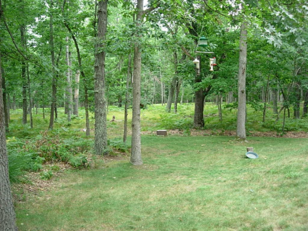 6770 West 7 Mile Road Irons, MI 49644 - Photo 6 of 12 DSCN1558
