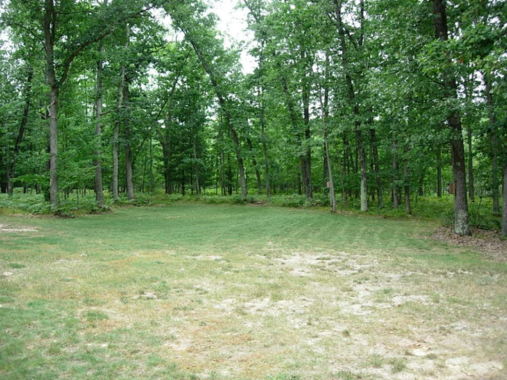 6770 West 7 Mile Road Irons, MI 49644 - Photo 7 of 12 DSCN1562