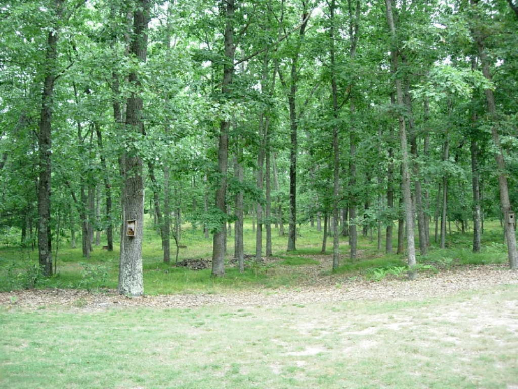 6770 West 7 Mile Road Irons, MI 49644 - Photo 10 of 12 DSCN1556