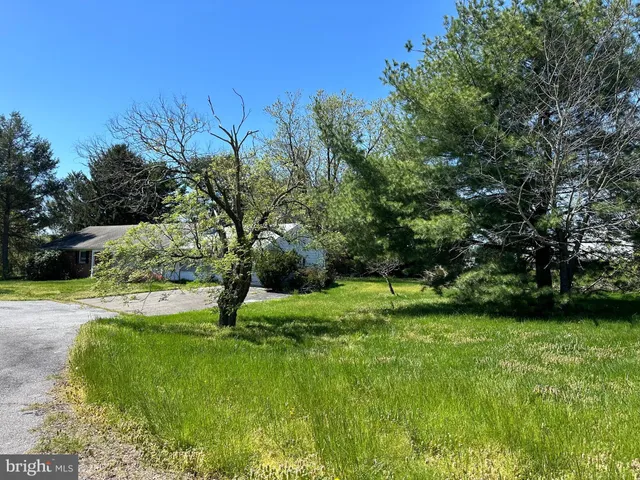 a view of a yard with wooden fence