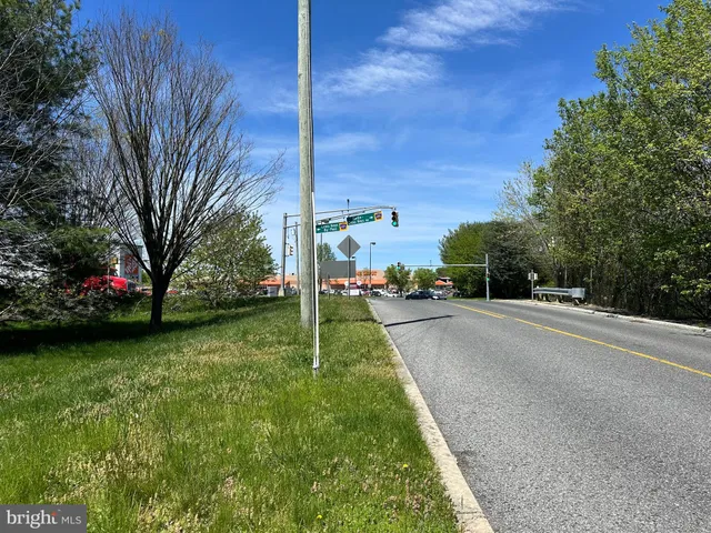a view of a house with yard and plants