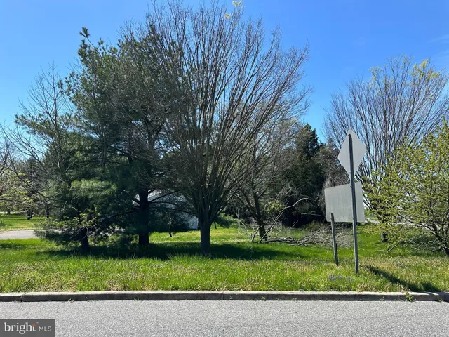 a view of a park with large trees
