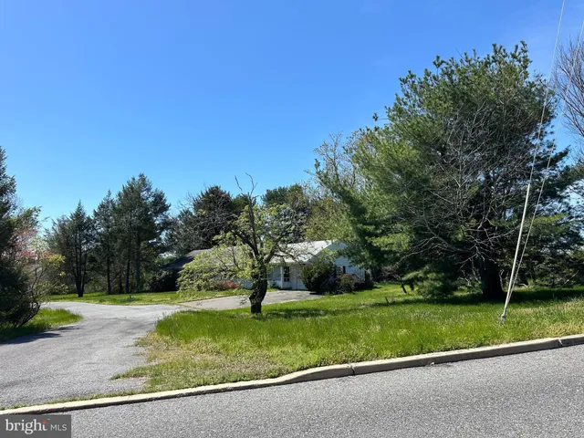 a view of a garden with a fountain