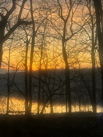 $650,000 | 13461 Burroughs Street Northeast, Lowell, MI 49331