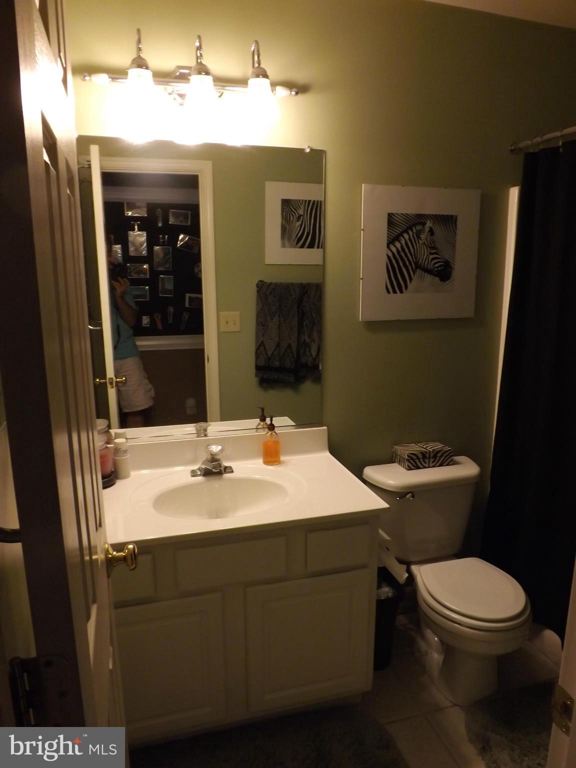 206 Goldenrod Road Winchester, VA 22602 - Photo 14 of 21 Bath