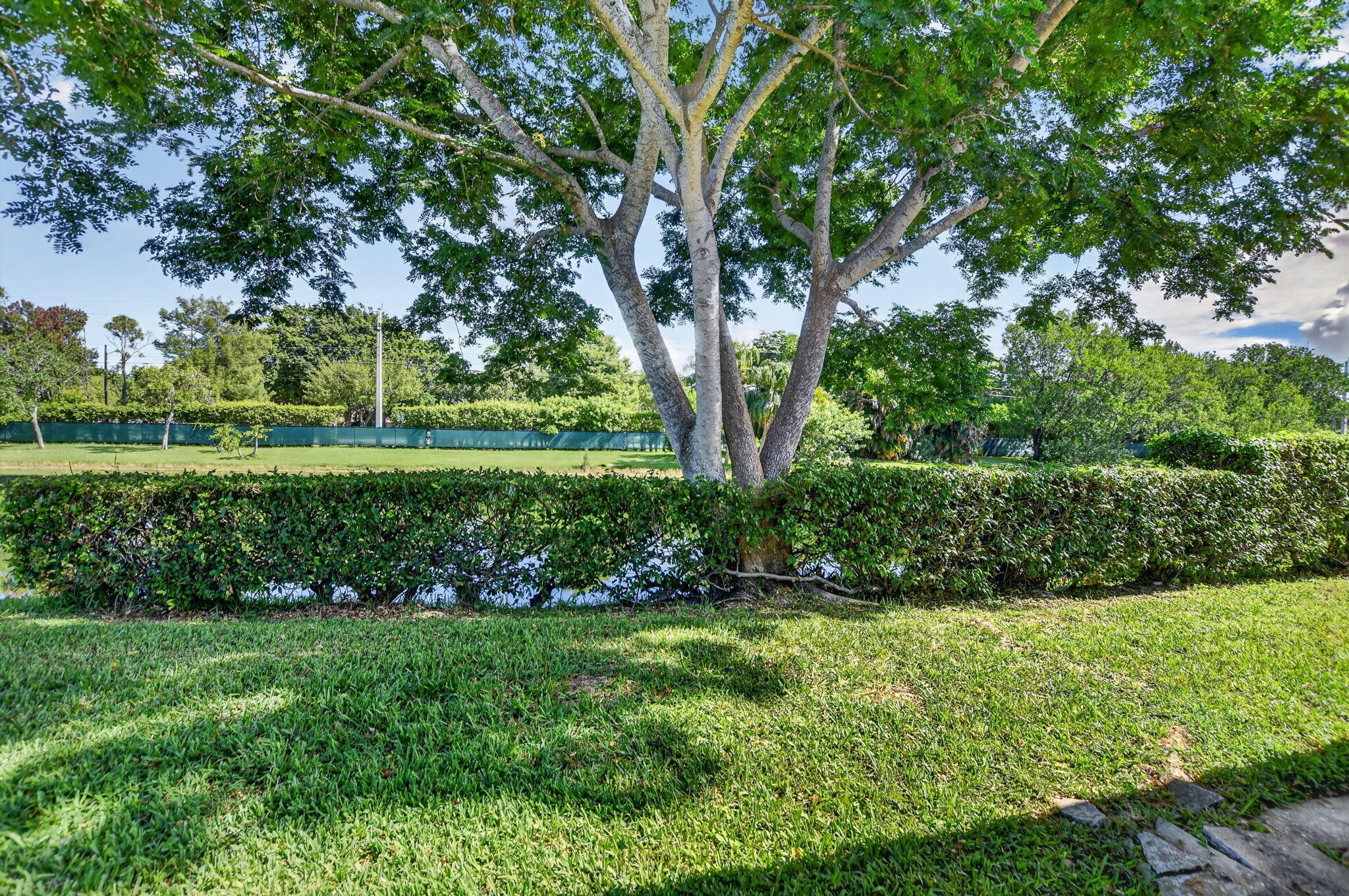 8681 Boca Drive, Unit 20 Boca Raton, FL 33433 - Photo 39 of 54 Backyard