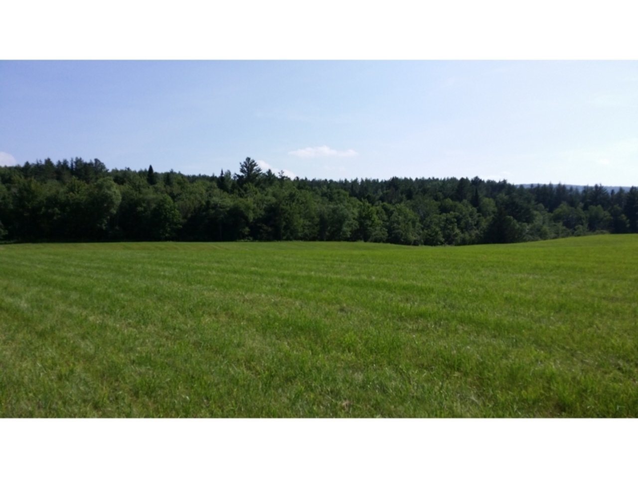 145 County Road Lincoln, VT 05443 - Photo 3 of 24