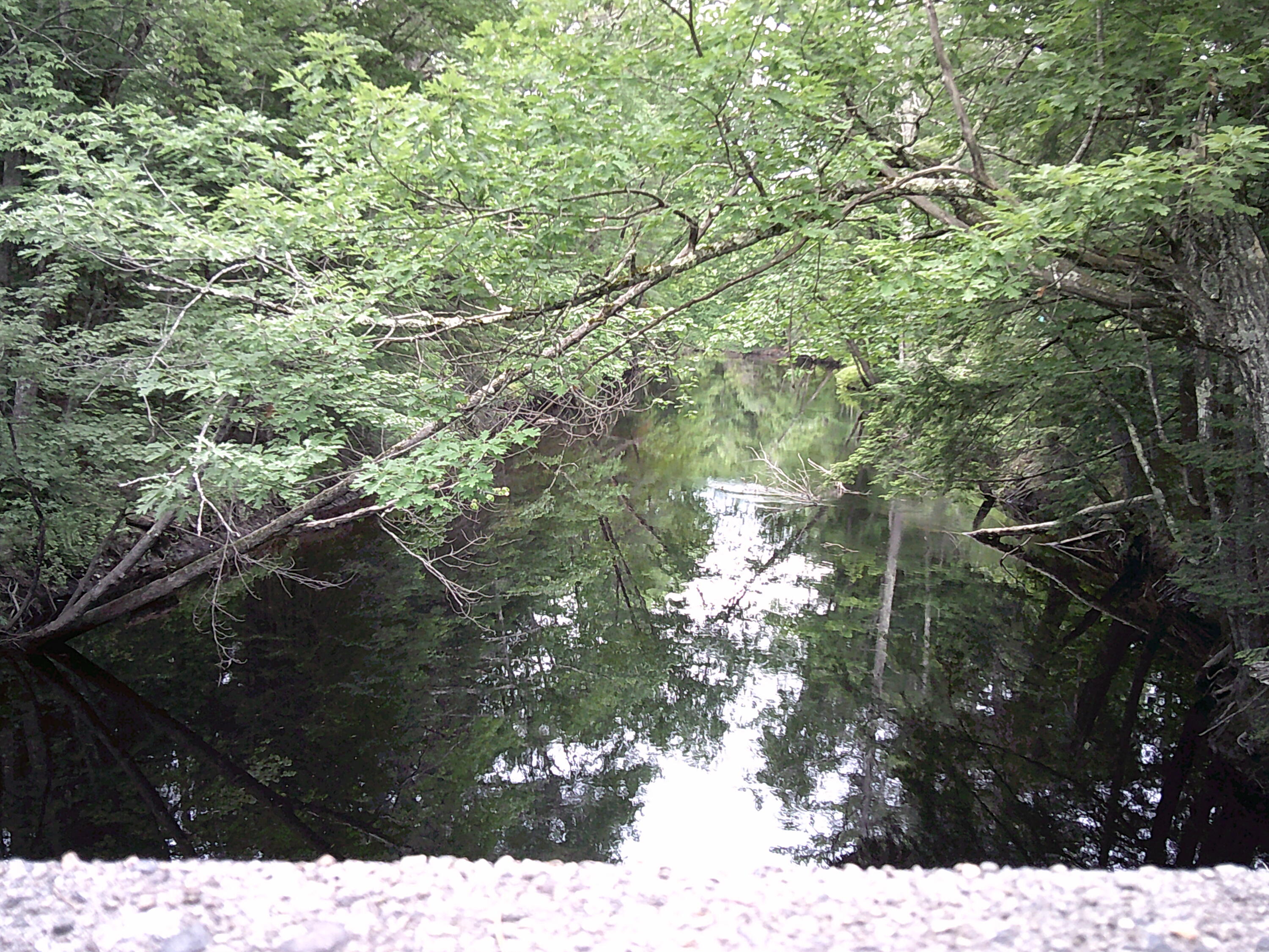 35 McIntire Road Waterford, ME 04088 - Photo 61 of 62