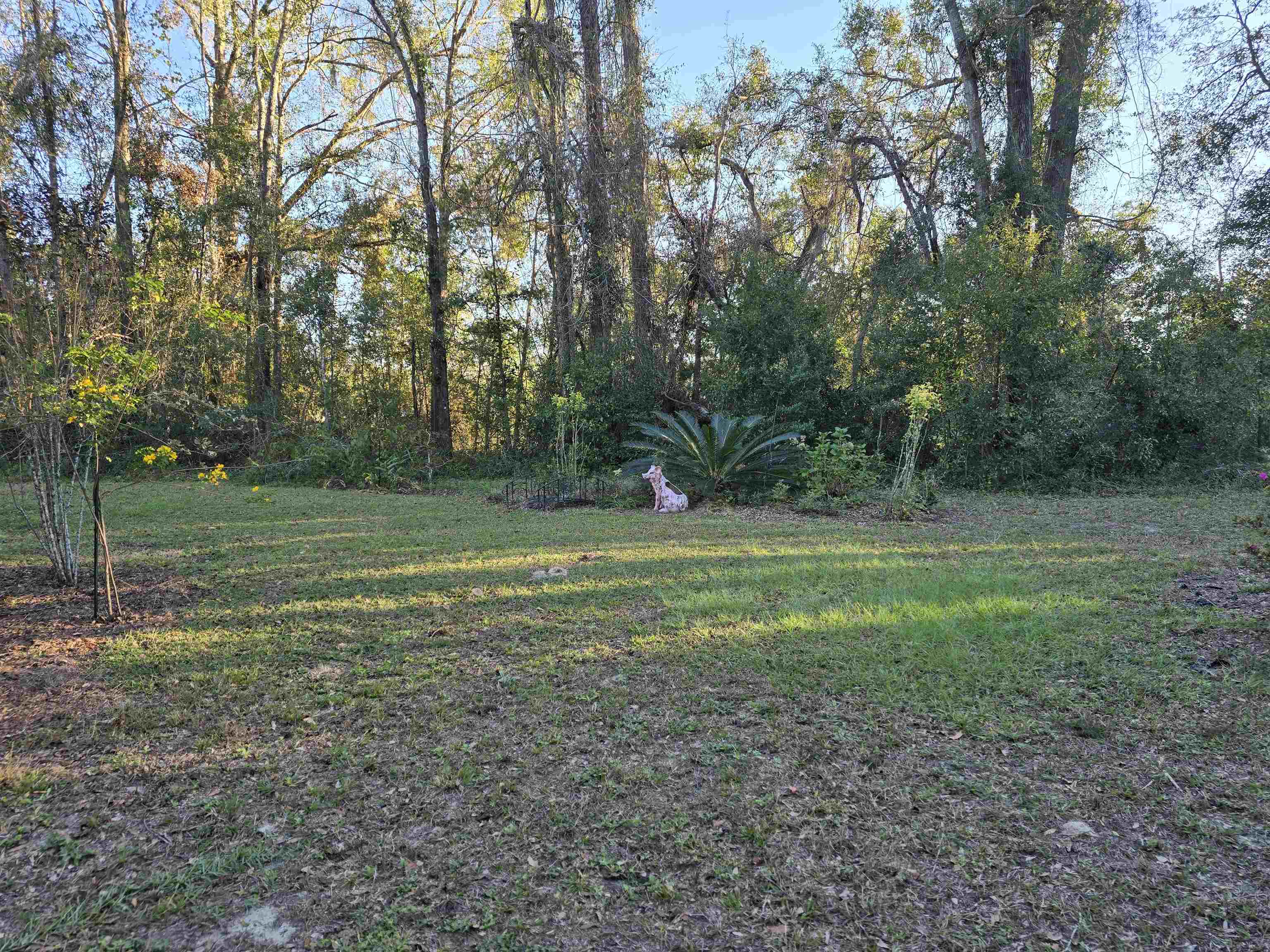 319 Bob Millinor Road Perry, FL 32347 - Photo 1 of 28