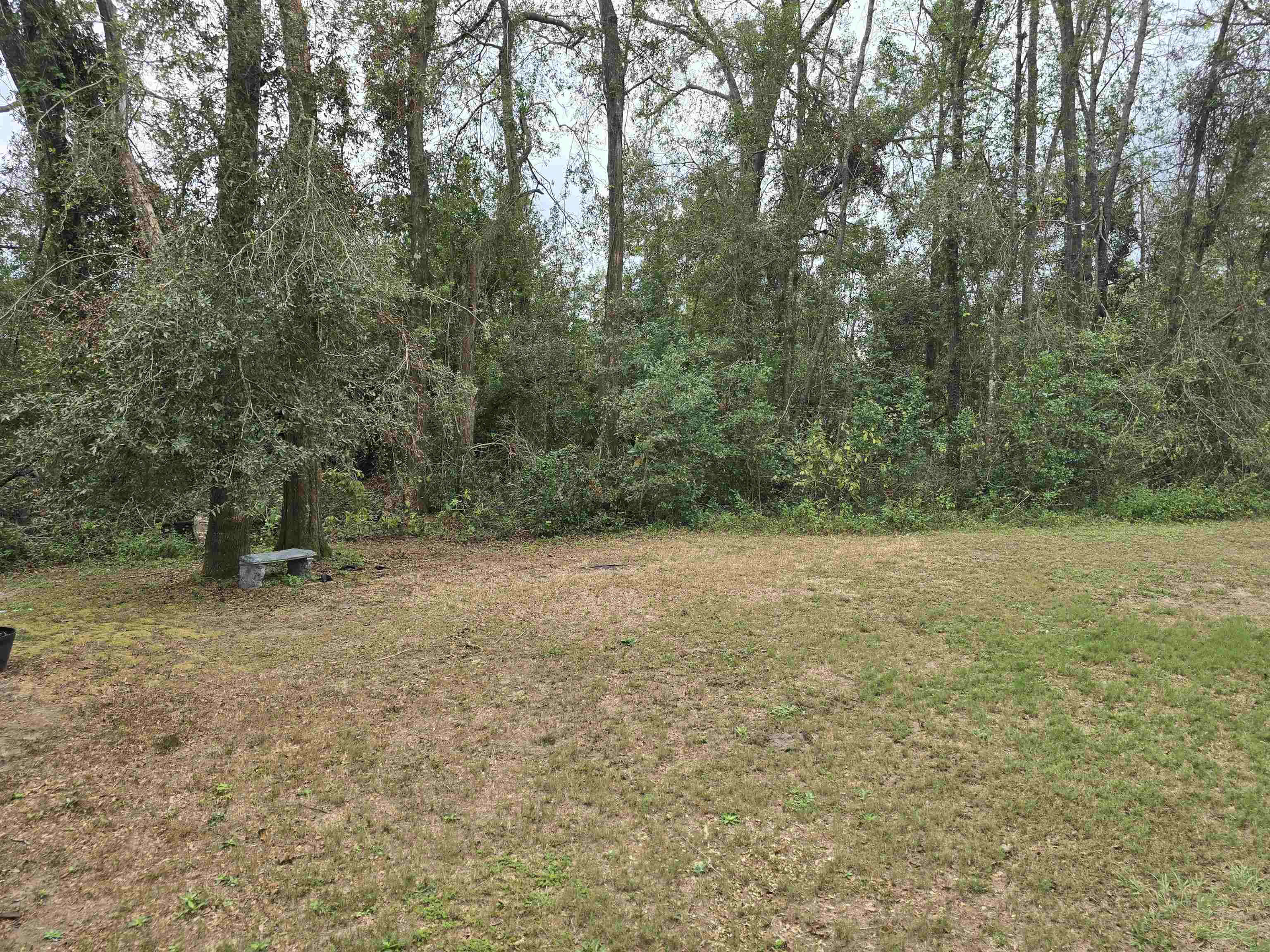 319 Bob Millinor Road Perry, FL 32347 - Photo 4 of 28