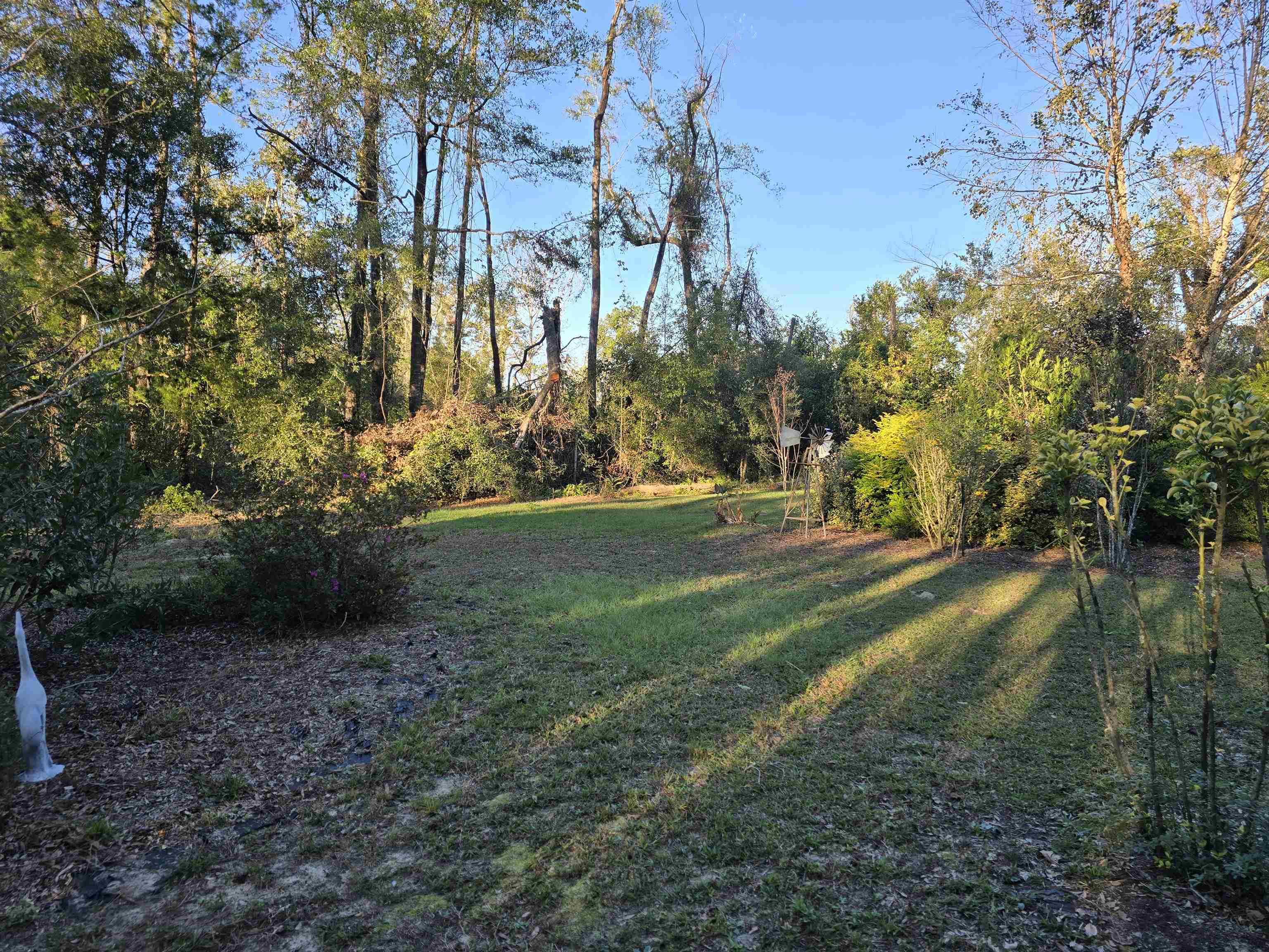 319 Bob Millinor Road Perry, FL 32347 - Photo 6 of 28