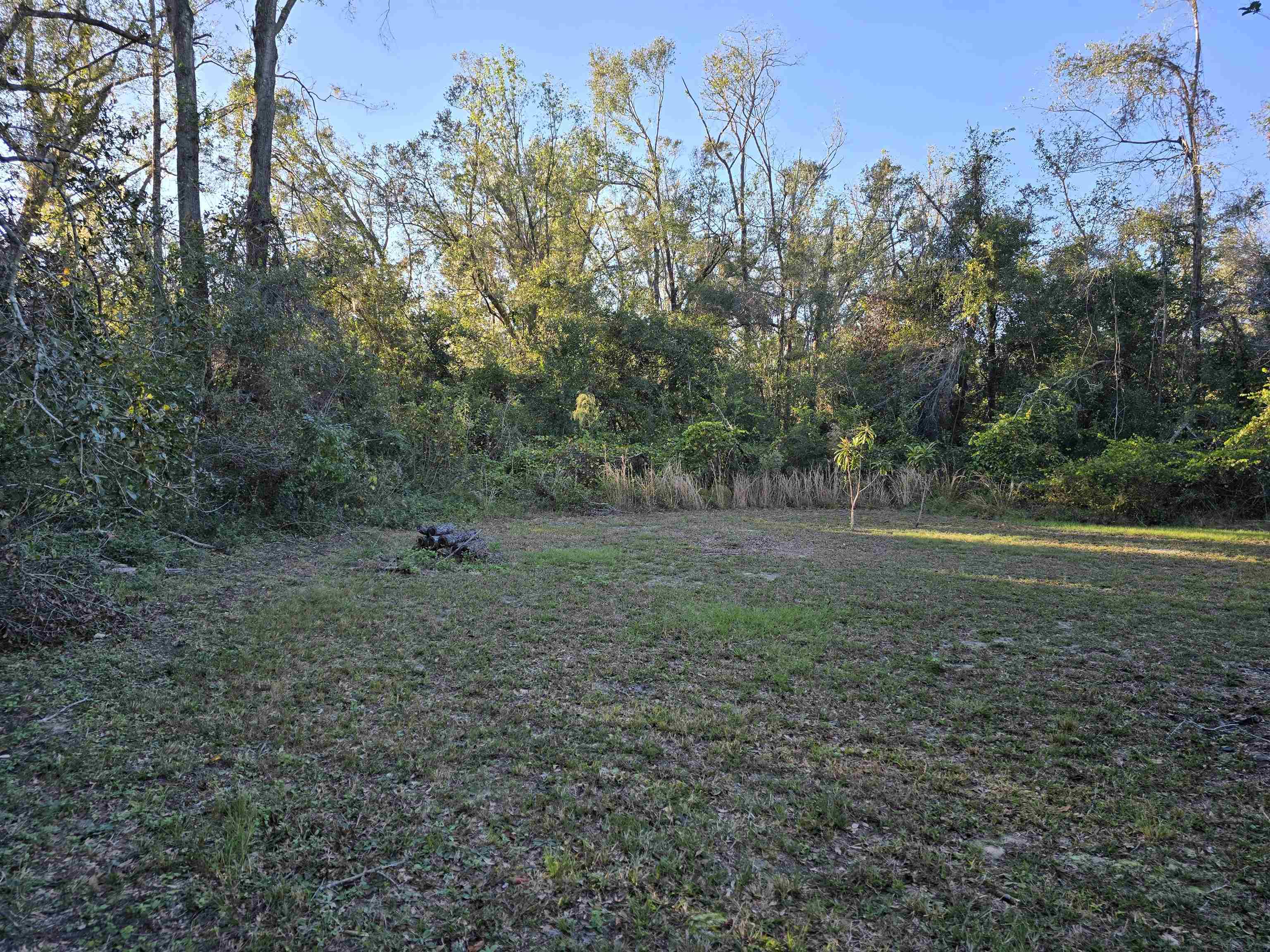 319 Bob Millinor Road Perry, FL 32347 - Photo 8 of 28