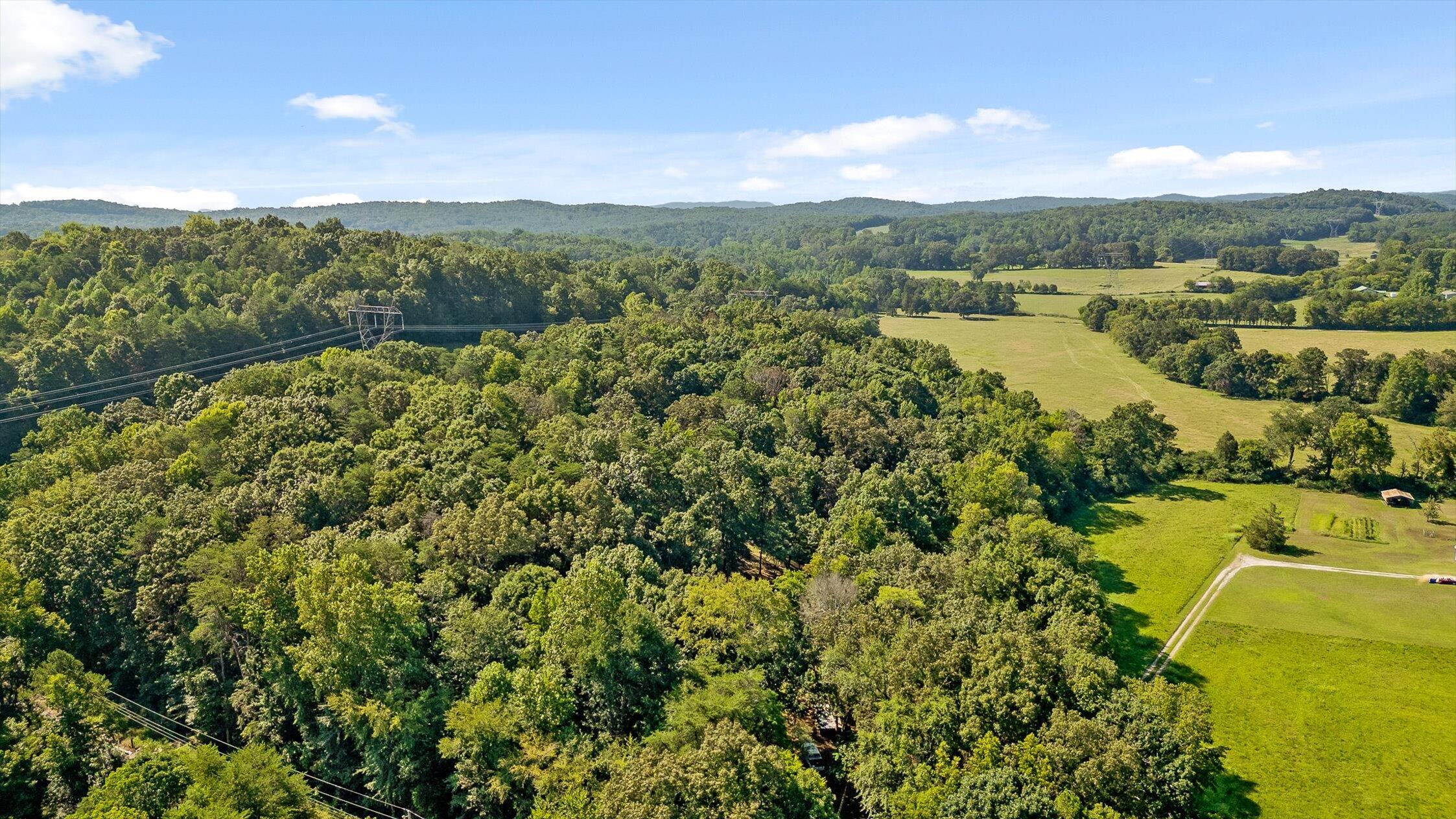 6300 Davis Hill Road Harrison, TN 37341 - Photo 45 of 51 46-Davis Hill-41