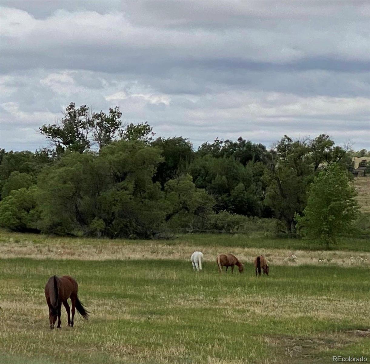 6484 Stroh Road Parker, CO 80134 - Photo 5 of 7 a view of a lake with outdoor space