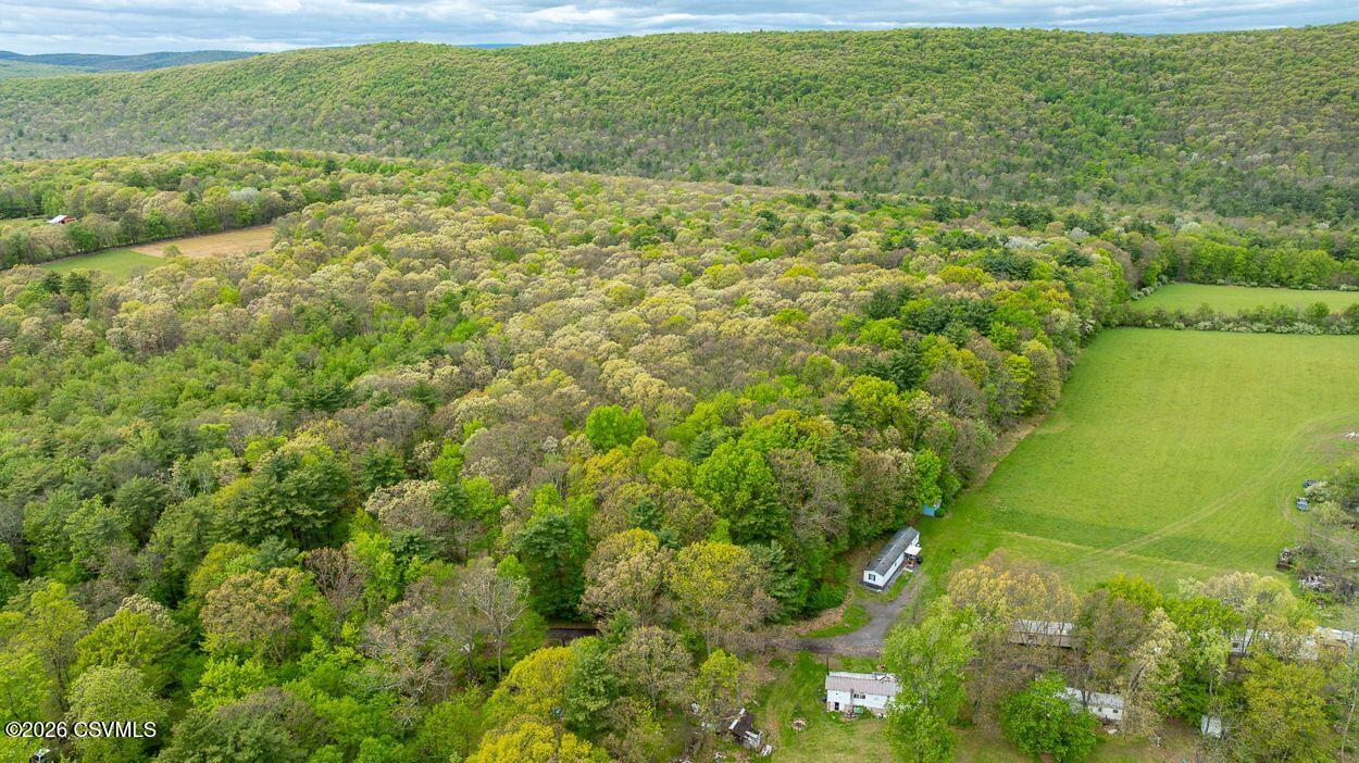 Firehall Road Sugarloaf, PA 18219 - Photo 9 of 17