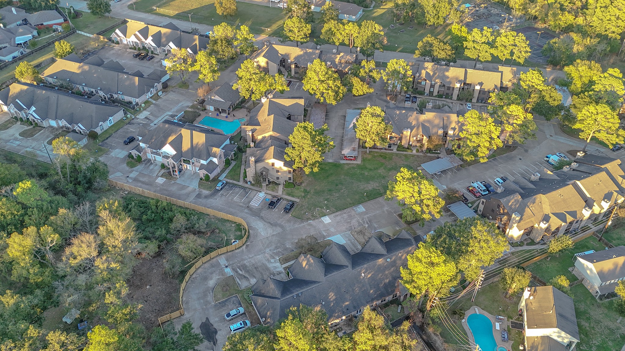 12755 Mill Ridge Drive, Unit 703 Cypress, TX 77429 - Photo 30 of 31 a vase of flowers sitting on a table