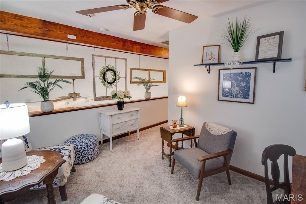522 North Springfield Street, Unit 8 Virden, IL 62690 - Photo 44 of 64 Gallery Image 44