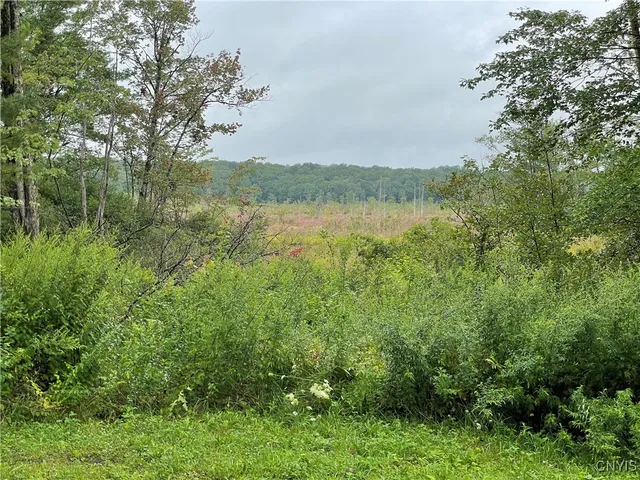 $180,000 | 1127 Highway 13, Williamstown, NY 13493