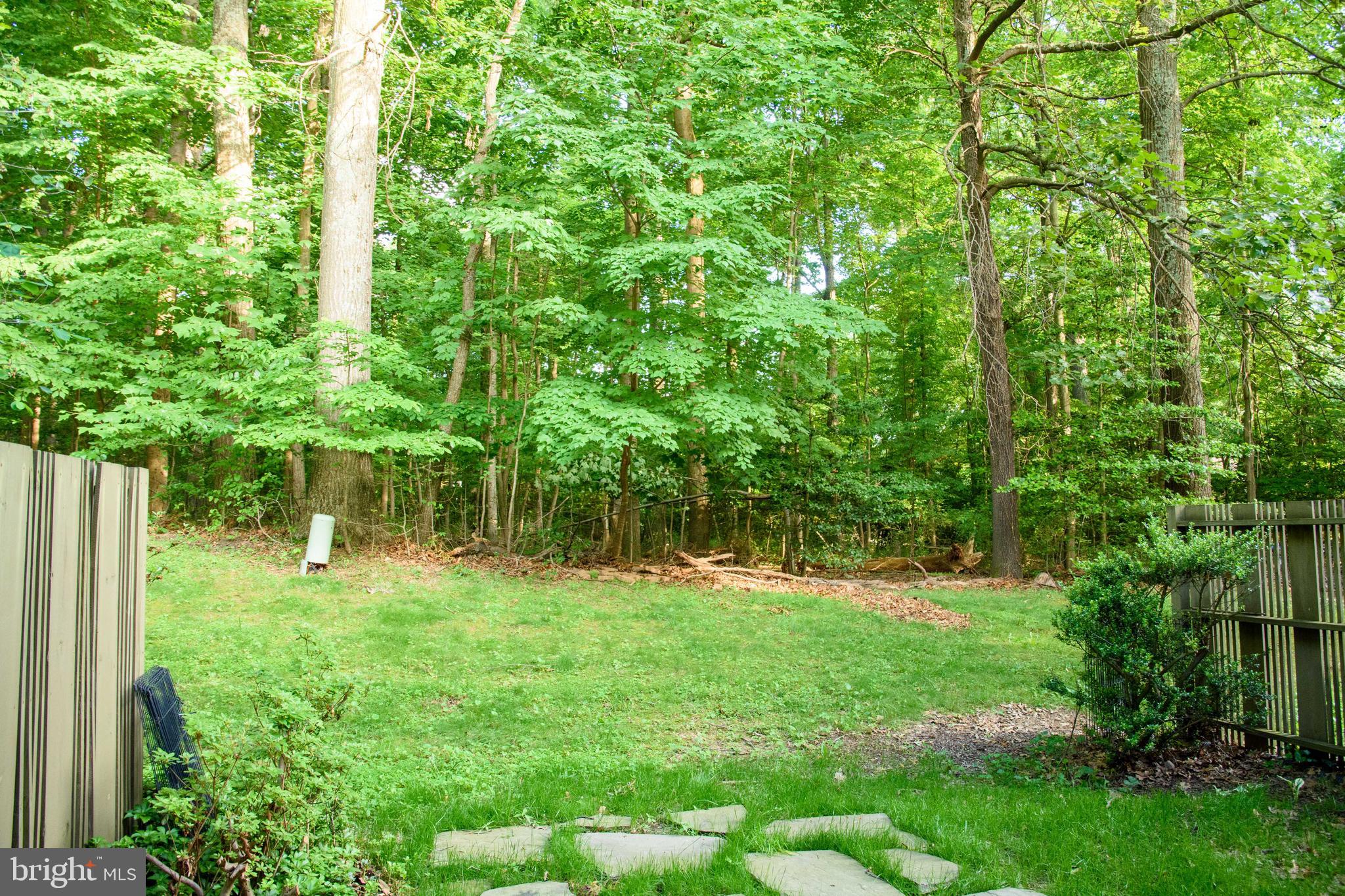 2007 Winged Foot Court Reston, VA 20191 - Photo 46 of 50 Summer view of Backyard and community open space