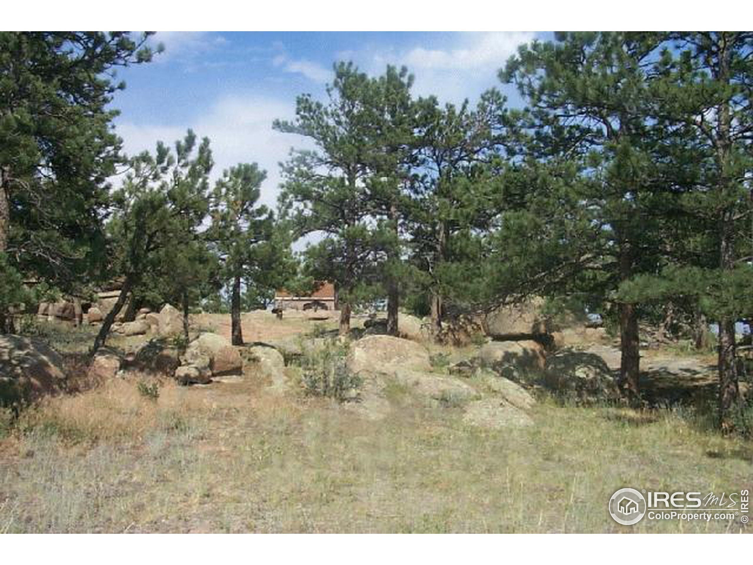 1900 West County Road Livermore, CO 80536 - Photo 7 of 11 Gallery Image 7