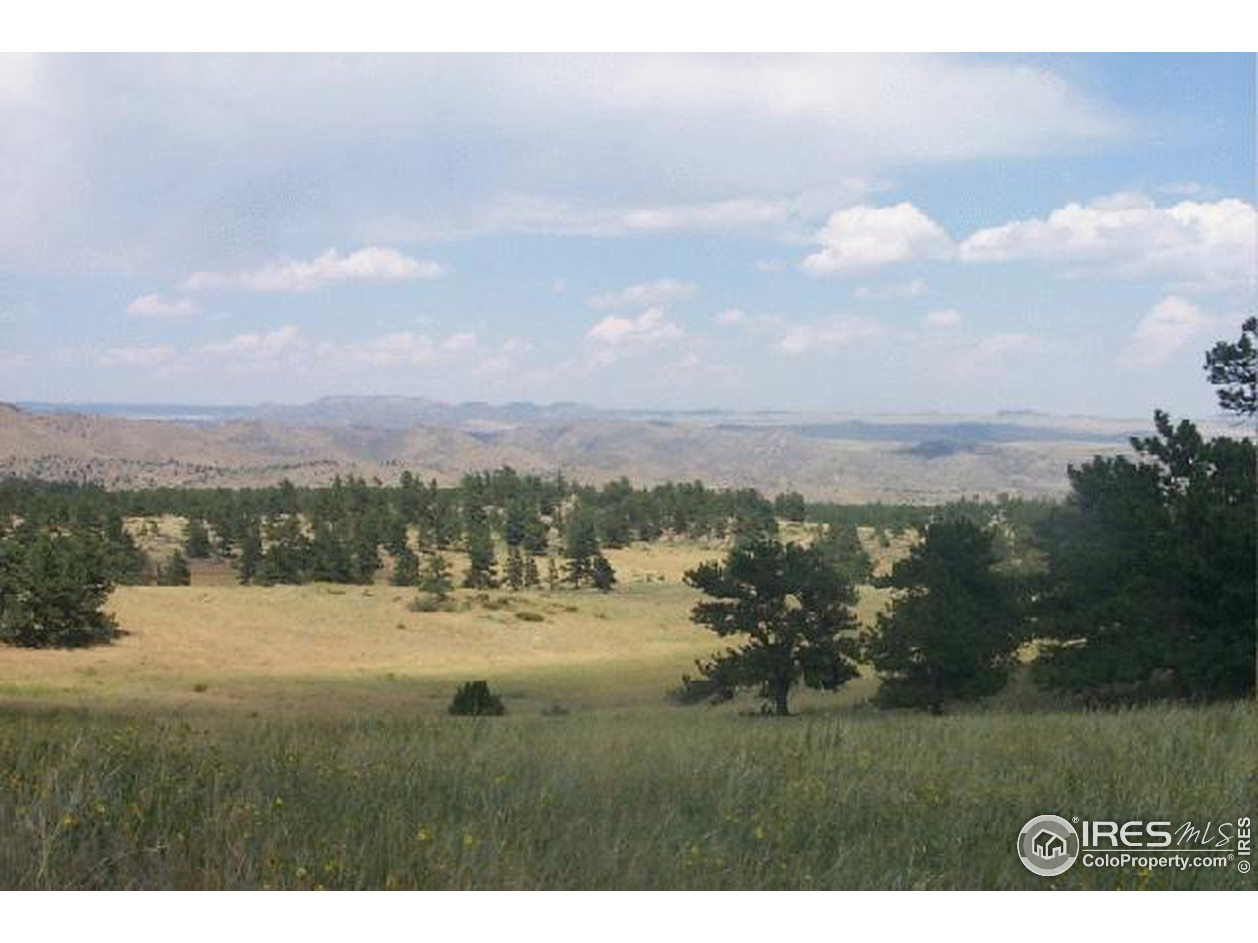 1900 West County Road Livermore, CO 80536 - Photo 8 of 11 Gallery Image 8