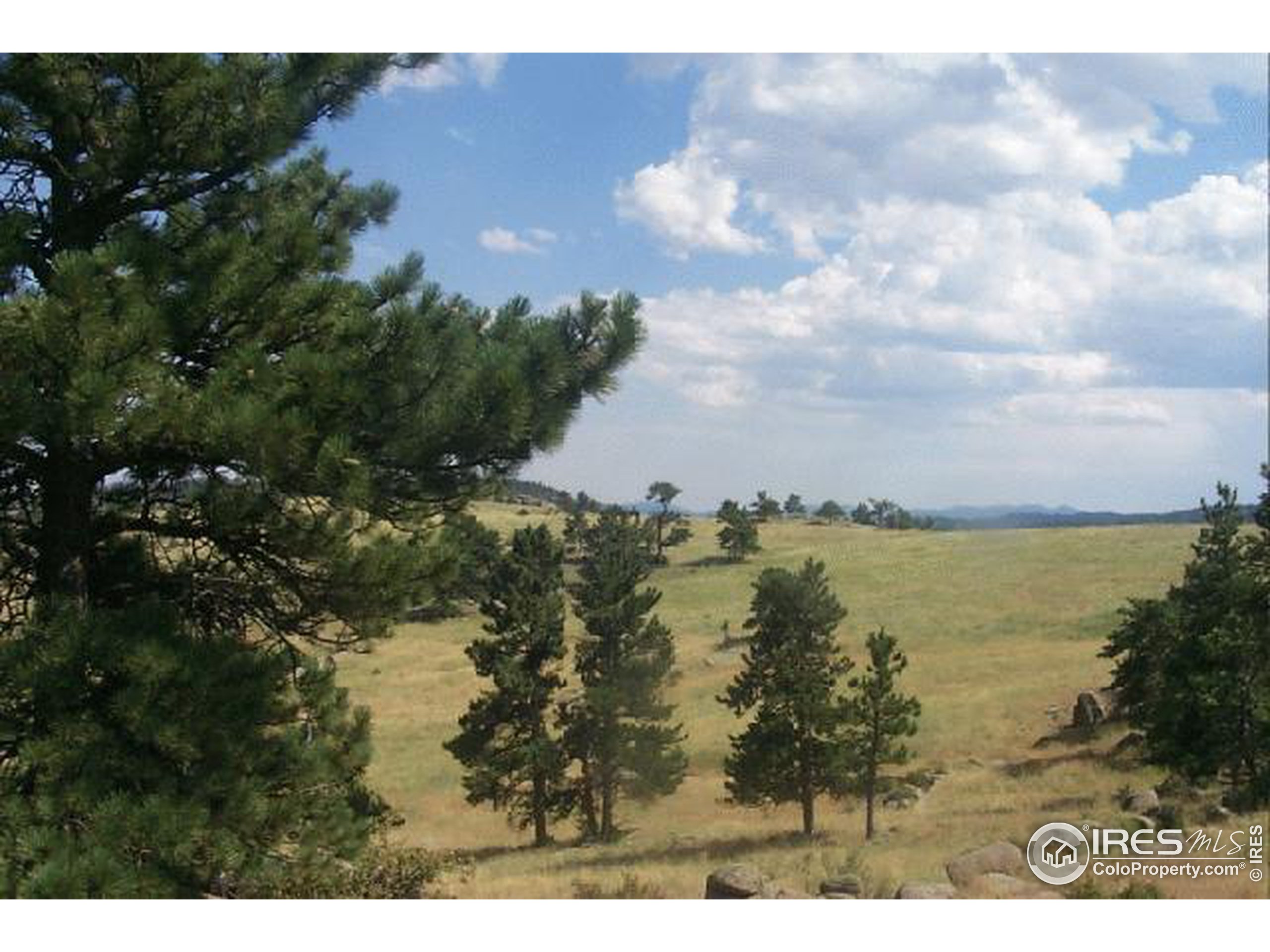 1900 West County Road Livermore, CO 80536 - Photo 9 of 11 Gallery Image 9
