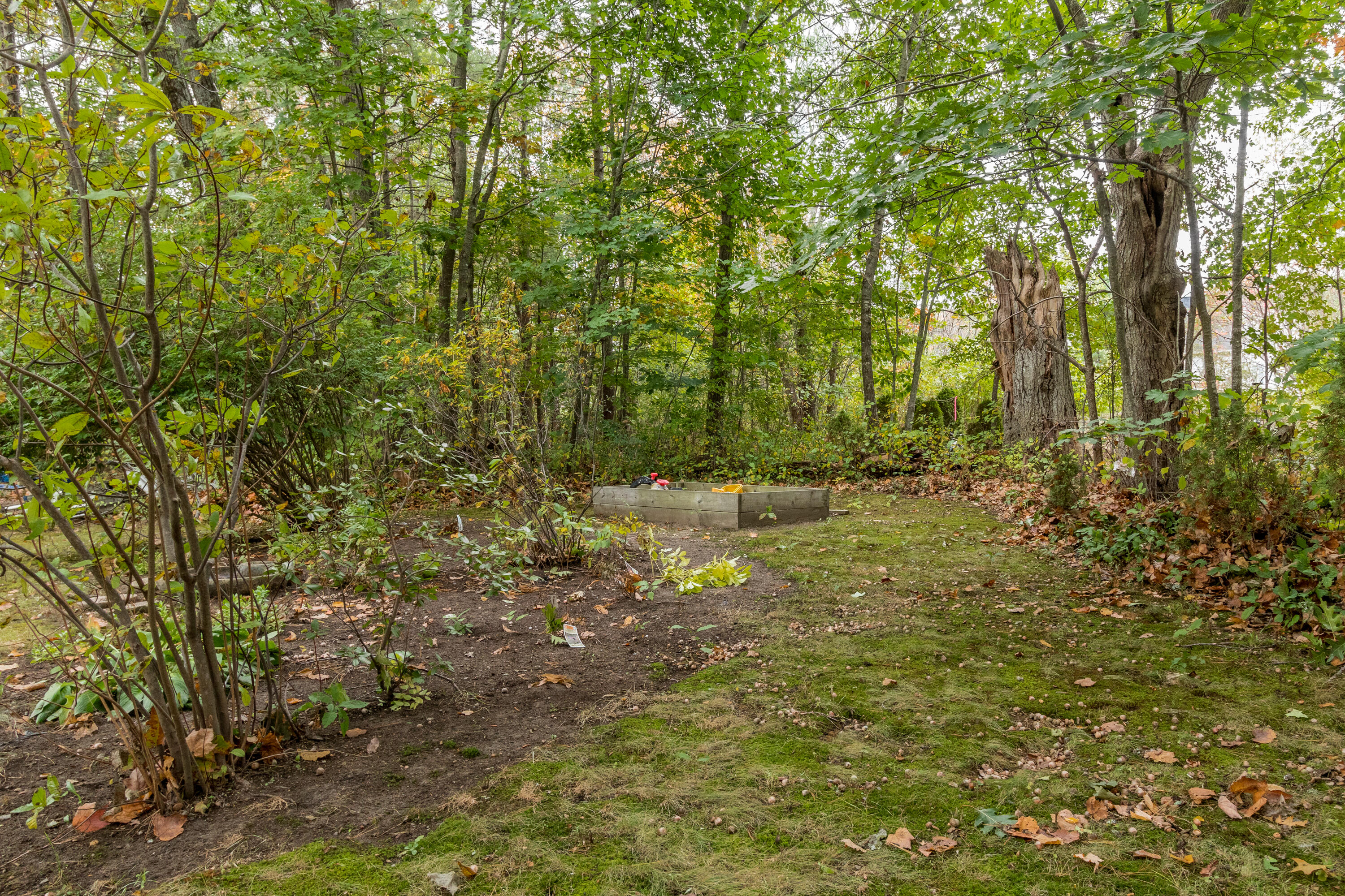 52 Harmony Road Portland, ME 04103 - Photo 46 of 50 20201002EC-51074