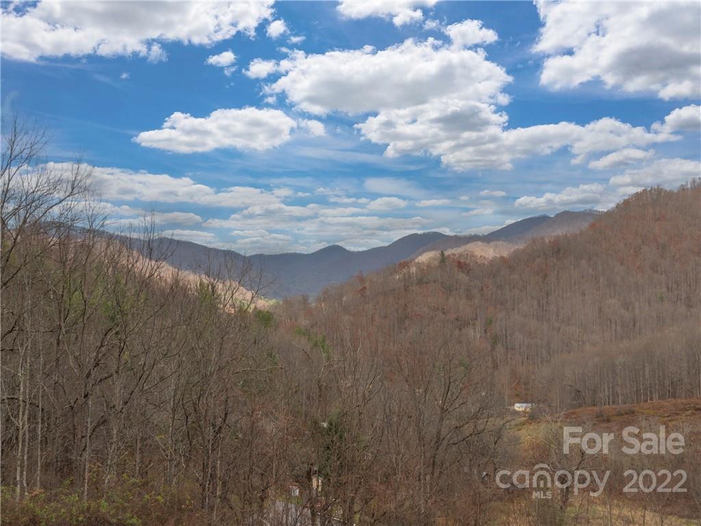 839 Price Town Road Clyde, NC 28721 - Photo 8 of 27 a view of a lake in middle of forest