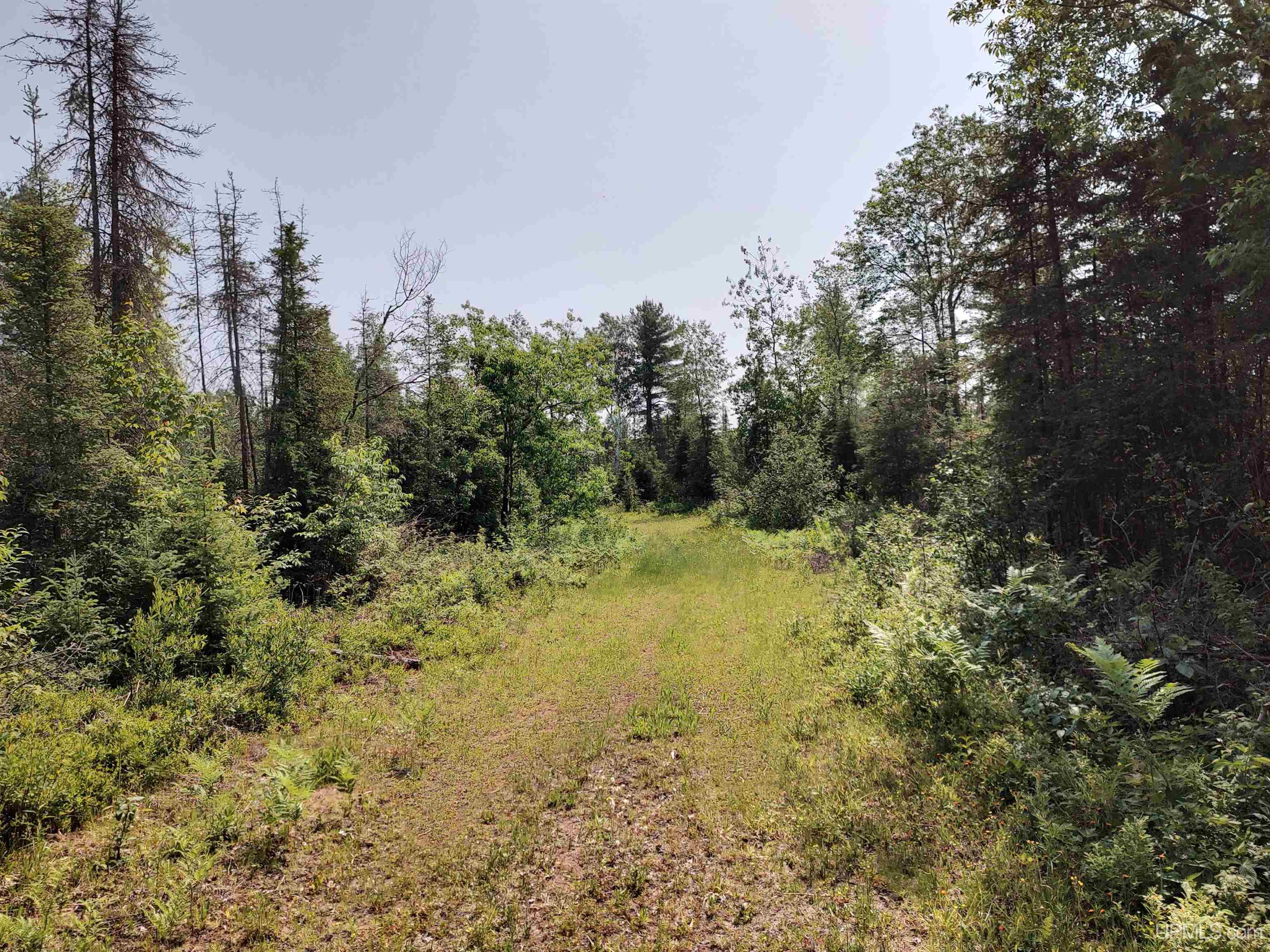601 County Road 601 Road Republic, MI 49879 - Photo 29 of 60