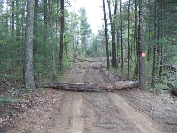 8 Town Farm Road Brookfield, MA 01506 - Photo 1 of 7