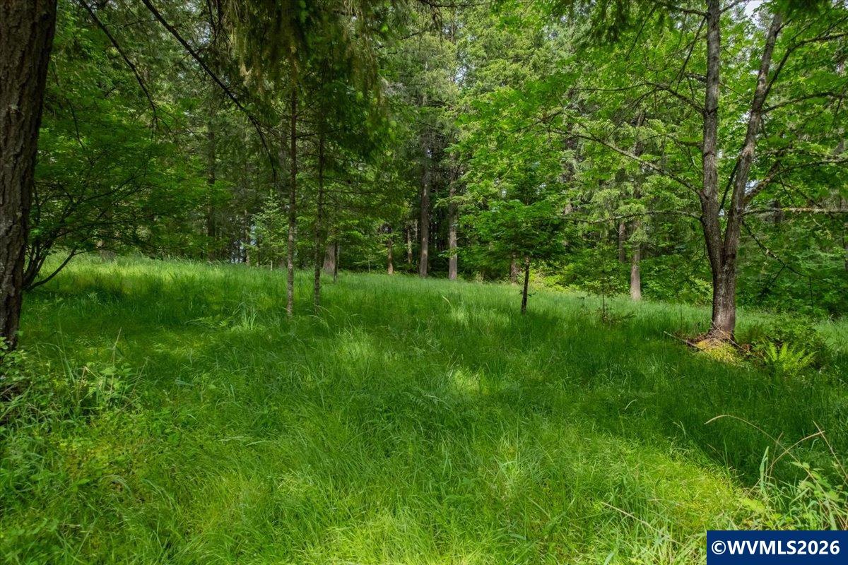 0057485 Next To 40587 Baptist Church Road Lebanon, OR 97355 - Photo 33 of 38