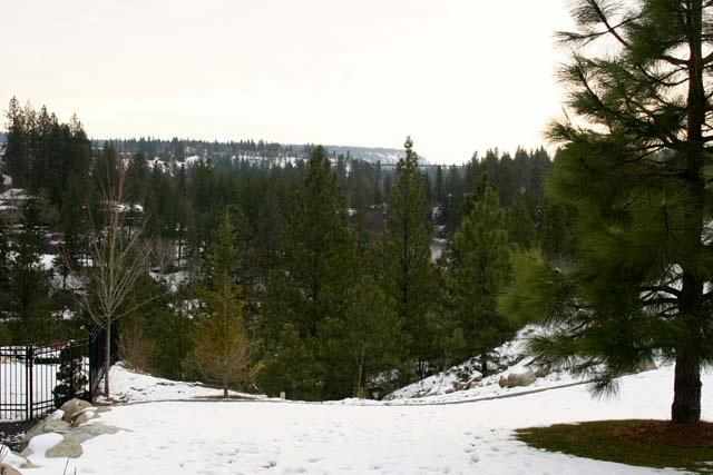 1406 North River Ridge Boulevard Spokane, WA 99224 - Photo 19 of 20 Gallery Image 19